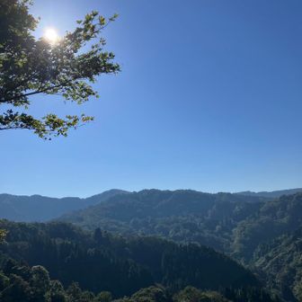 秋晴れ☀️