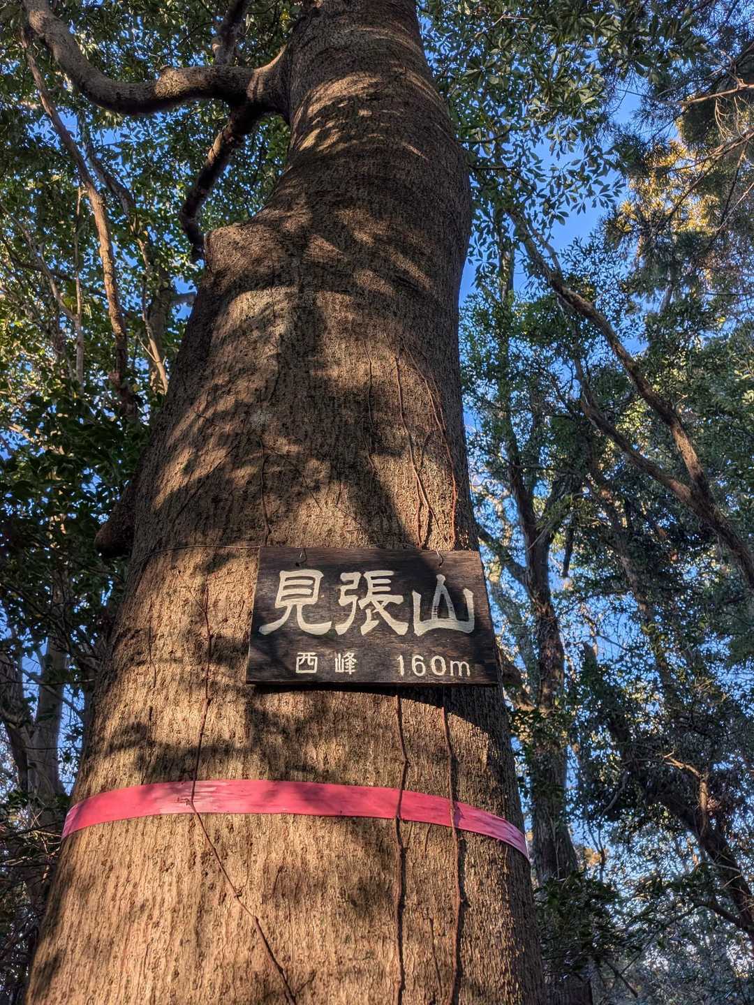 見張山✨