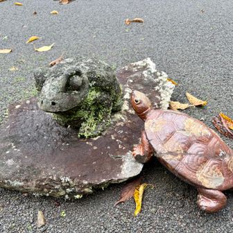 亀さんと内緒話??
何話しよんのやろ？