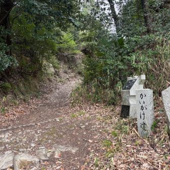 奥から出てきました
ここから龍王山に向かってかいがけの道を登るのは、キツイかな
下山で使ってよかったです

登山口の碑文には

この道は大和と河内を結ぶ重要な交通路として、古代は修験の道、奈良・平安時代には紀州熊野神社へ詣でる『熊野街道』として、また天正年間（一五七三～九二）織田軍と戦った武将どもの馬駆け道として多くの者が往来しました

とありました
歴史ある道です