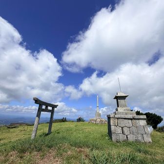 鳥上コースが人気なんでピストンされてる方が多かったです