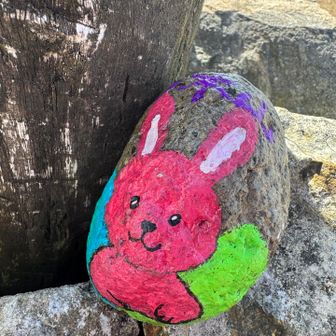 待ち人待ってたが今日も会えず、、、😢
代わりにひっくり返ってたワロック見つけた👀
一時期めちゃ流行ってたよね🪨