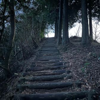 今日の闇活ではスピーディーになるべく灯りに頼らず歩く。