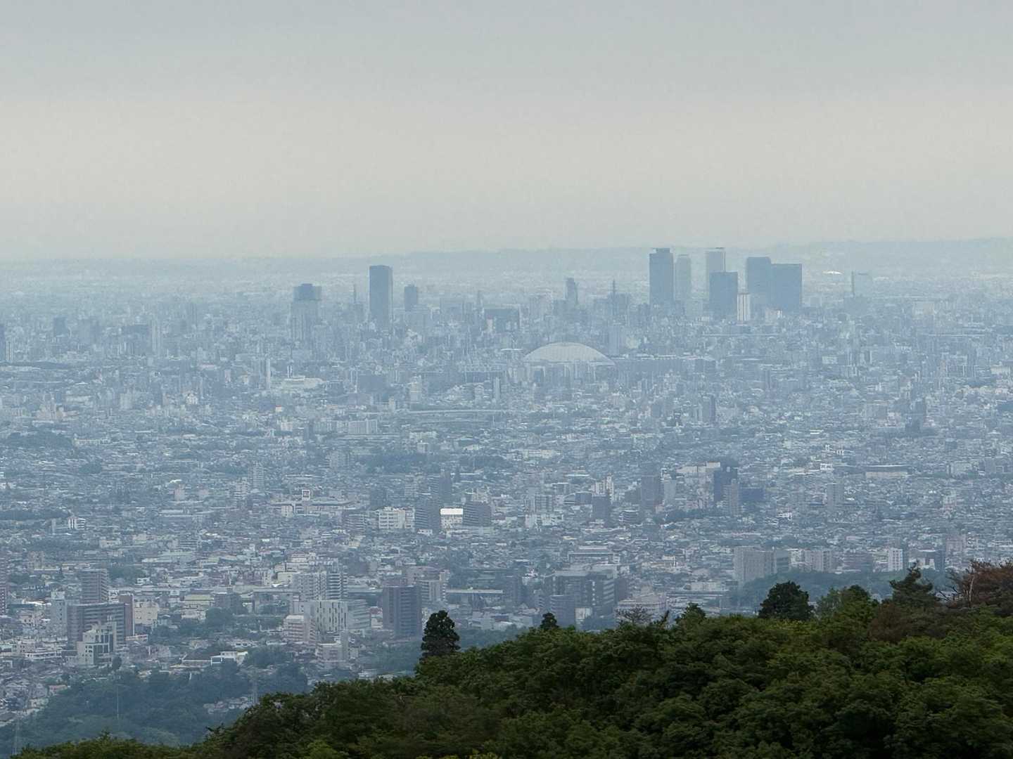 ホラホラ名駅見える👀