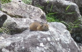 すてきなまっつん
