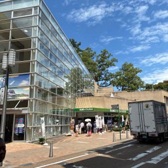 リフトもロープウェイも降りる便はさほど混みはなかったですが、登りは激混みのようで、乗り待ちの列が数十メートルは続いてました😅