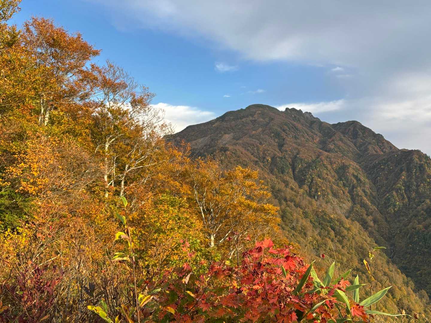 八海山に感謝☺️✨