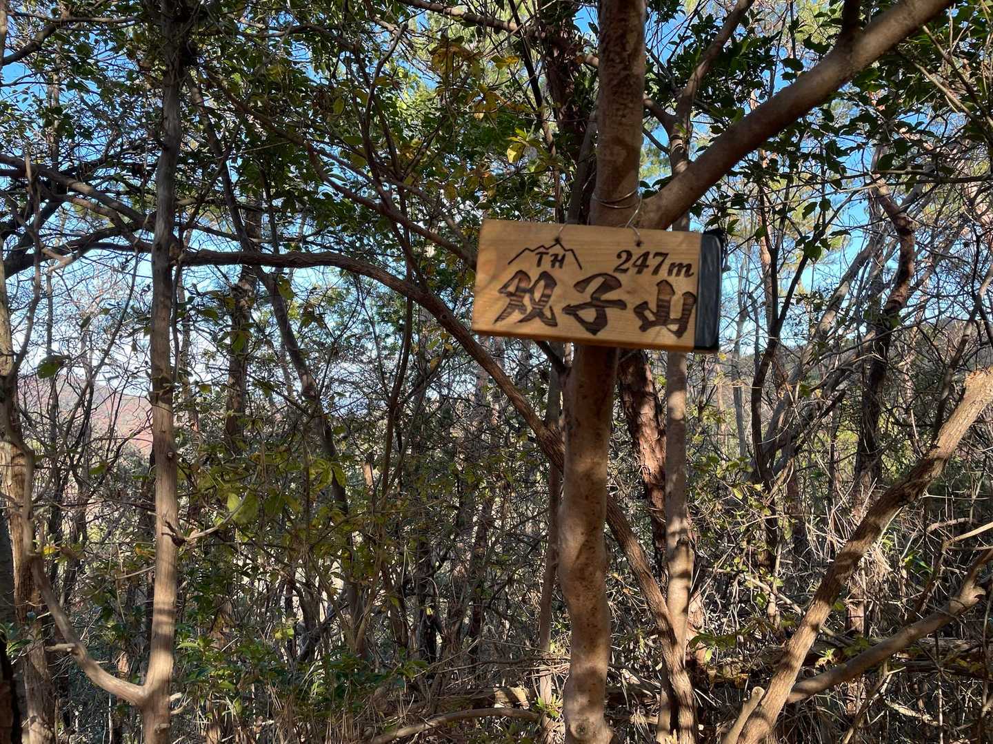 双子山山頂に到着！