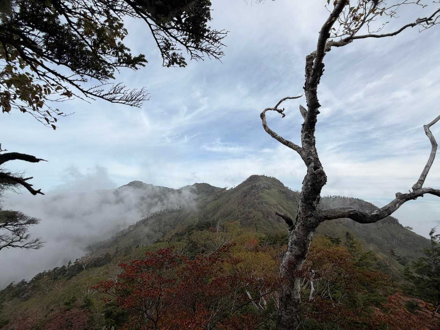 山頂方向
ここから３つのピークを登ったり降ったり