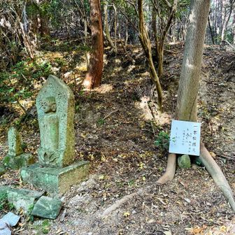 🚩一本松越（390m）

旅人を見守るお地蔵様は
天保12年（1841）と古いもの🙏

名前の由来【大きな一本松】は
見つけることができず🥲