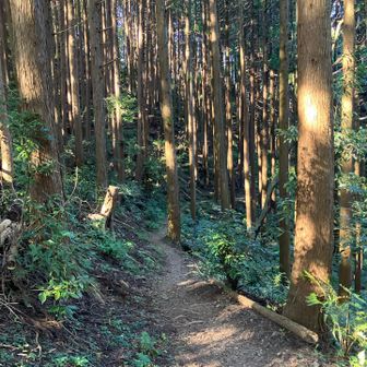 一気に下ります。