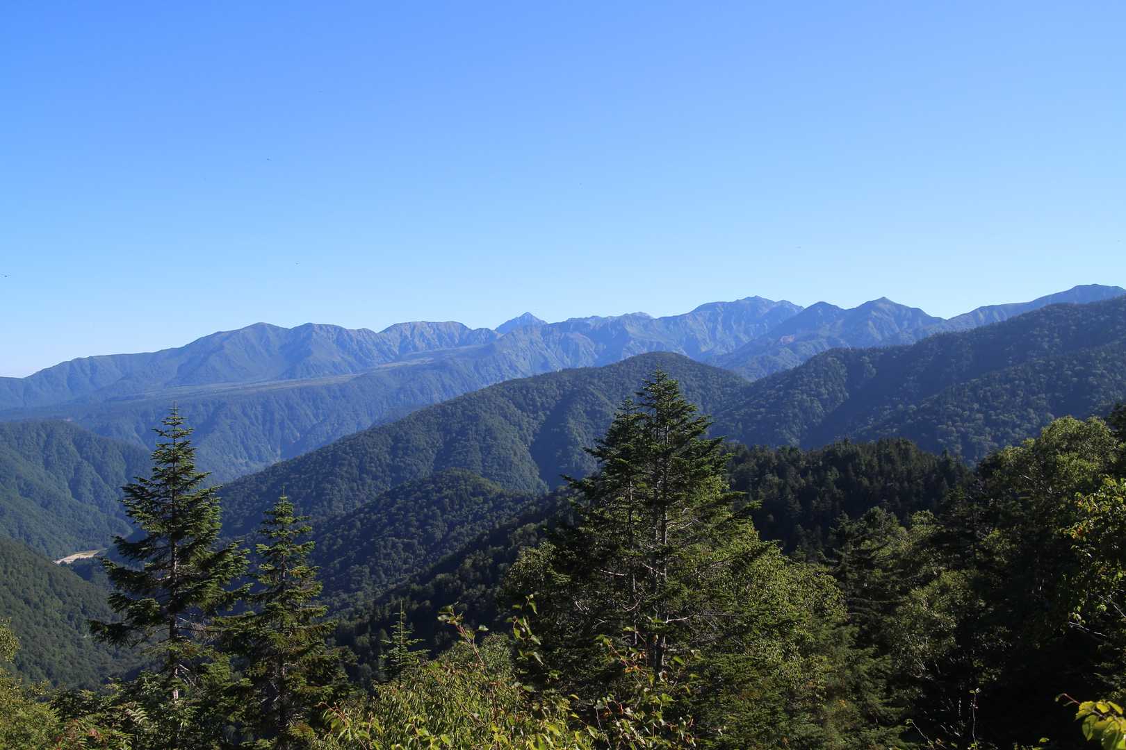 薬師岳登山口-五光岩ベンチ-アラスカ庭園-日本庭園-黒部五 周回コースの写真