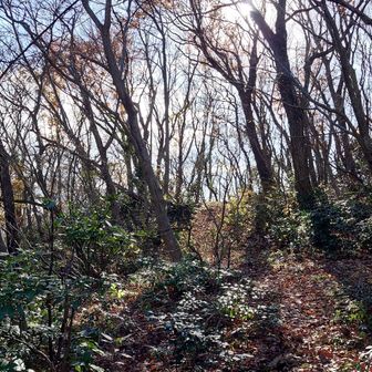 高校生の長女に
バトンタッチ

彼女に
うどんを作ってもらって

俺はようやく自由時間

というわけで
時間もないのでいつもの
五ヶ峠へ