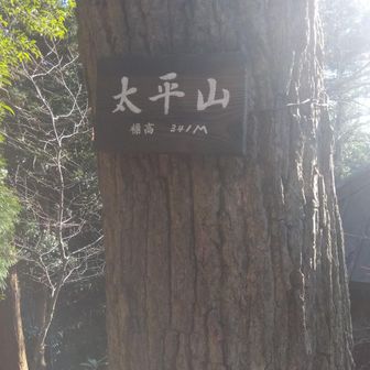 ここの山頂は、太平山初回登山以来
