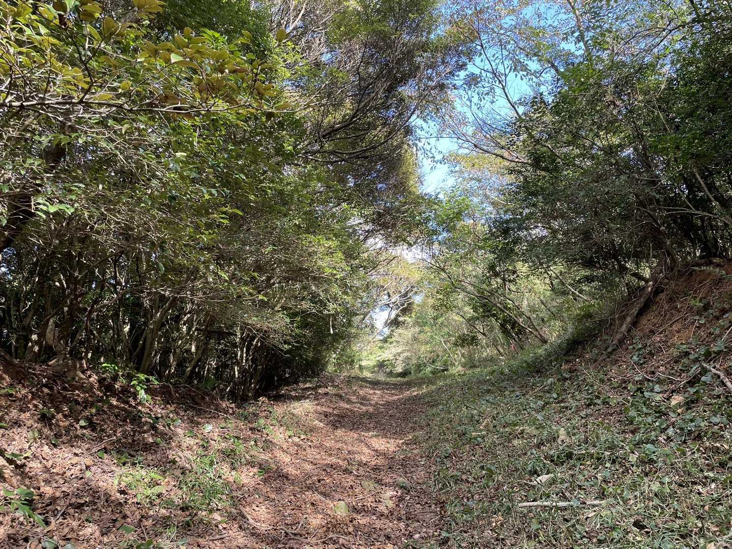 偽水晶山⛰から先は、草刈りしてくださってました👏🤣

ちょうどお2人作業中の方にお会いしましたので、心より御礼申し上げさせて頂きました🙏🙇🏻