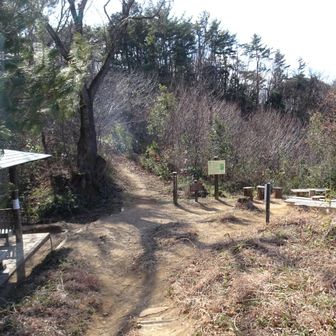 桜峠
馬不入山まで行くか悩む