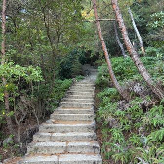 振り返って、、おりてきました！