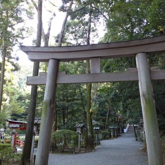 狭井神社へ向かいます
9:00〜10:30が登拝の受付時間で、13:30までに下山です
コインロッカーが狭井神社と大神神社にあるので、登拝に不要なものは預けて歩けます
撮影、飲食NG、水分はOK、入山前のお祓い等の説明を受けて登拝へ
宿泊した旅館で教えてもらった辰五郎大明神近くの磐座にも参拝(こちらも同じルールです)