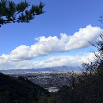 ビューポイント嬉しい