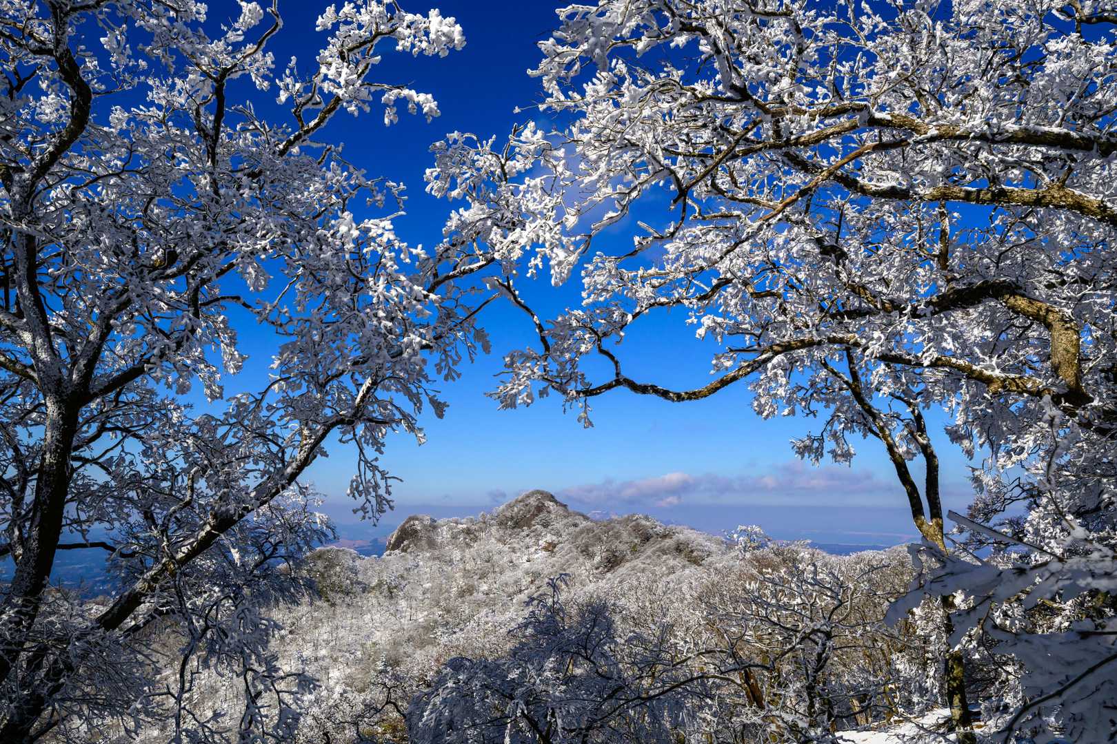 黒岳　⛄️