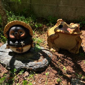 吉四六【きっちょむ】
