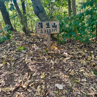 蒲生山…眺望なし、この一帯では一番高い場所