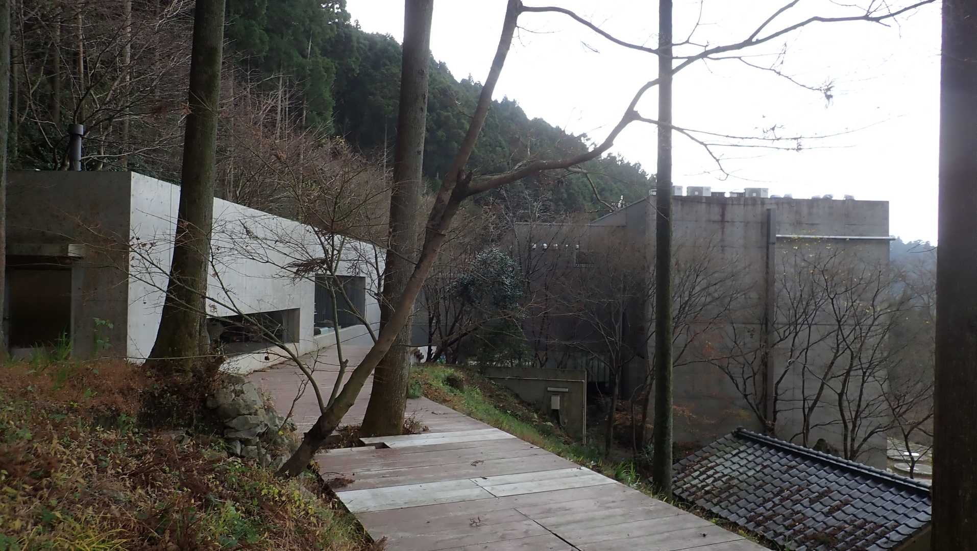 「わらび野」さんの横を通る。嫁さんから次はこことのご指名。