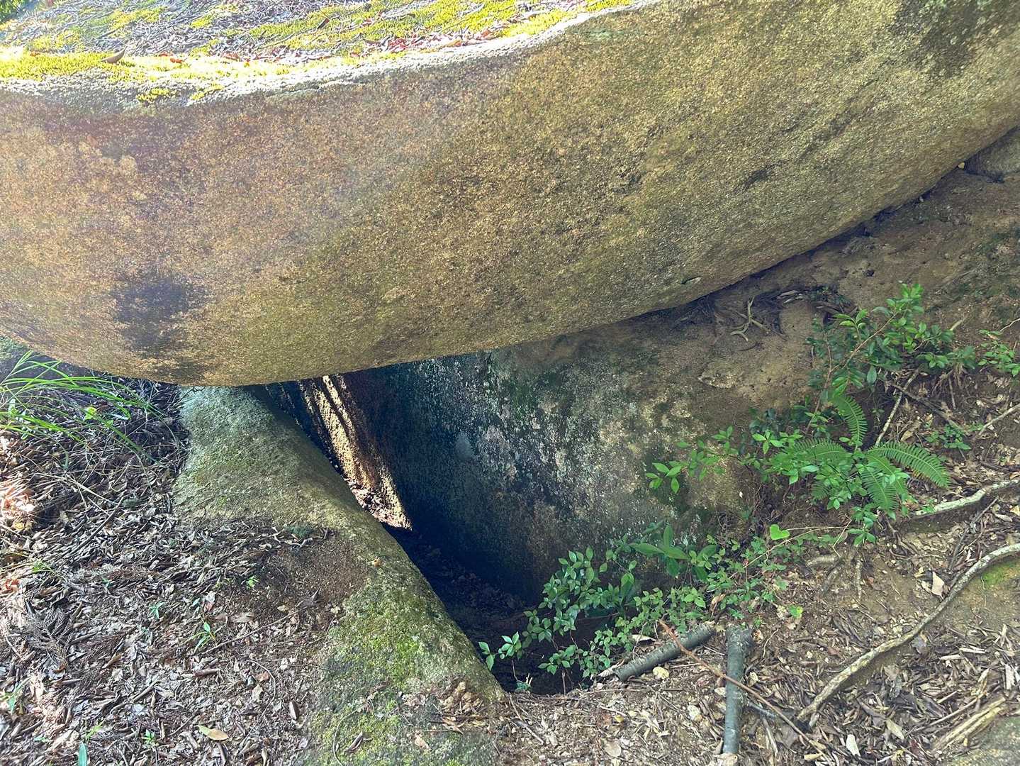 白石山登山口-白石山 往復コースの写真
