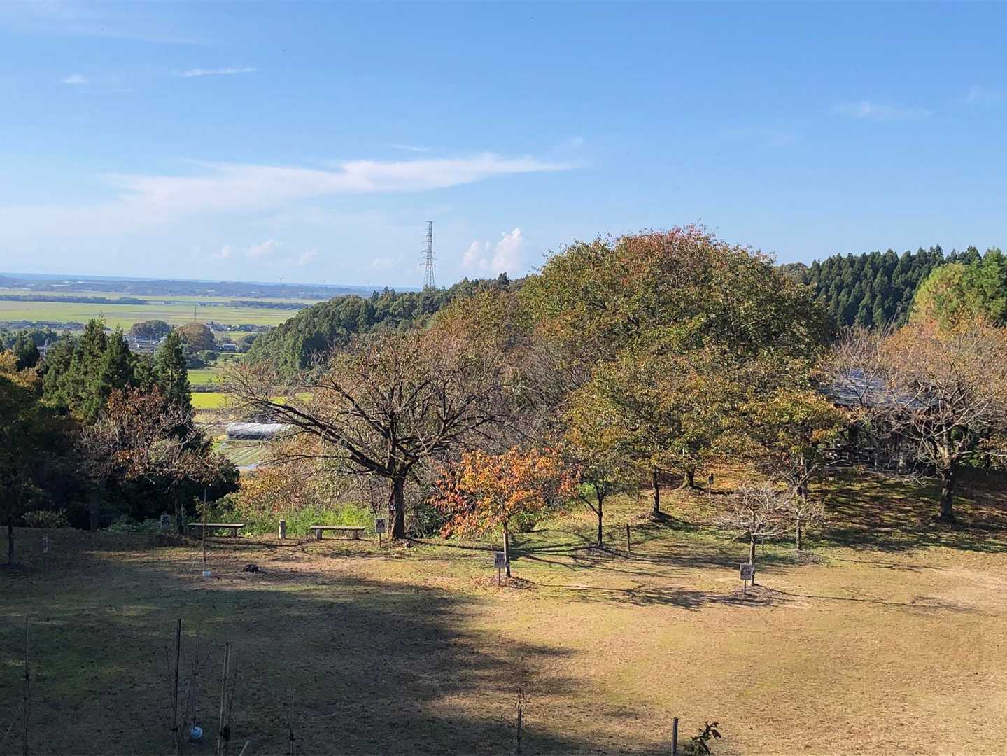 花見広場