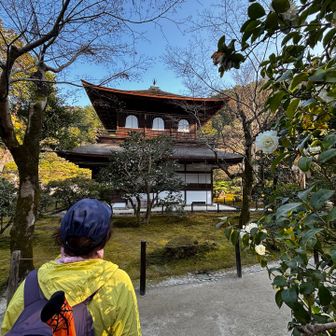 気持ちが落ち着きます🎶