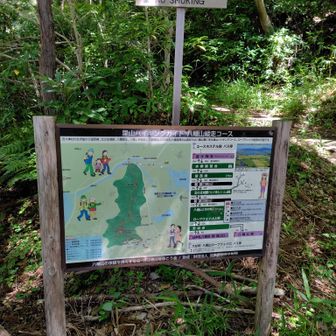登山道に入る