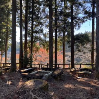 バーベキュー場
予約制ですが、なんと無料🆓👍