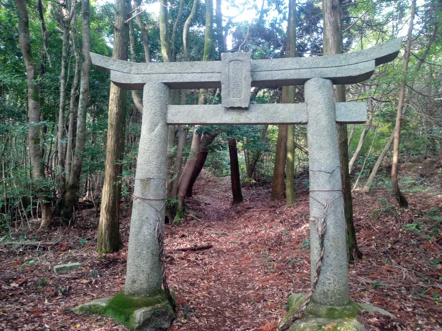 鳥居⛩
僕はこういうお山が大好き💕
今日はフランスに圧勝できそうや🎌