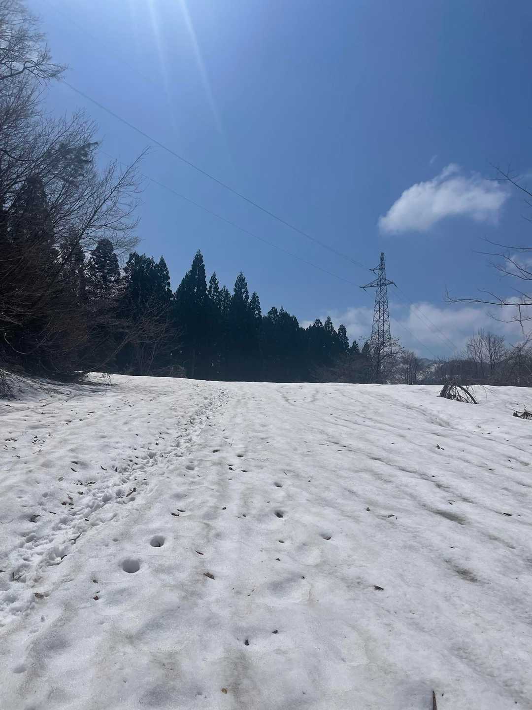 氷見番屋街から城山登山口へ移動
登り始めから雪が残ってますね☃️