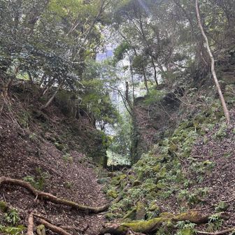 道中に、猿の群れと遭遇。可愛い親子猿も🐒