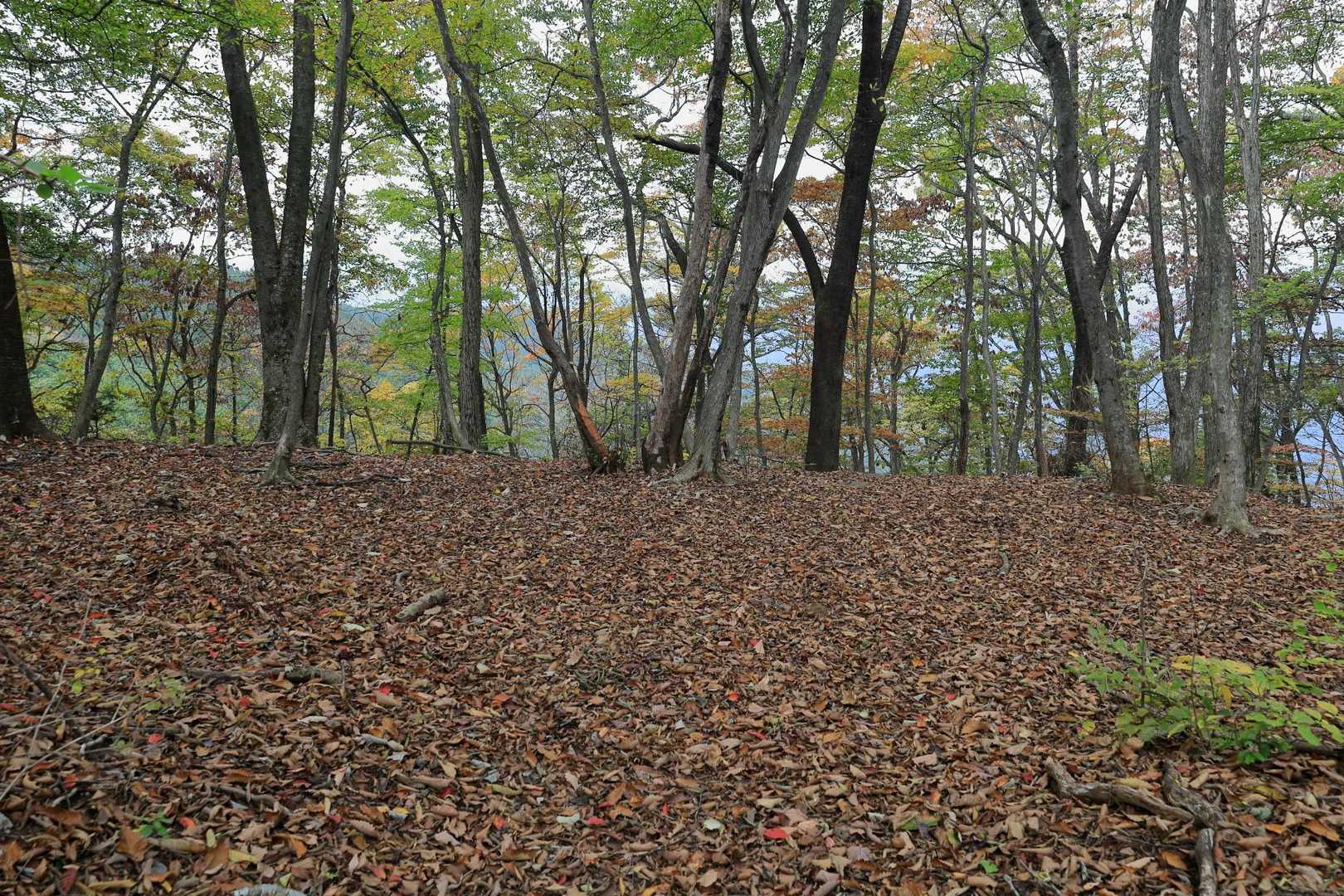 登山道の右側にあった小さな空間。ここは何でしょう？