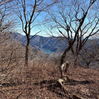 下ってきた方向からはちょっと角度変わる