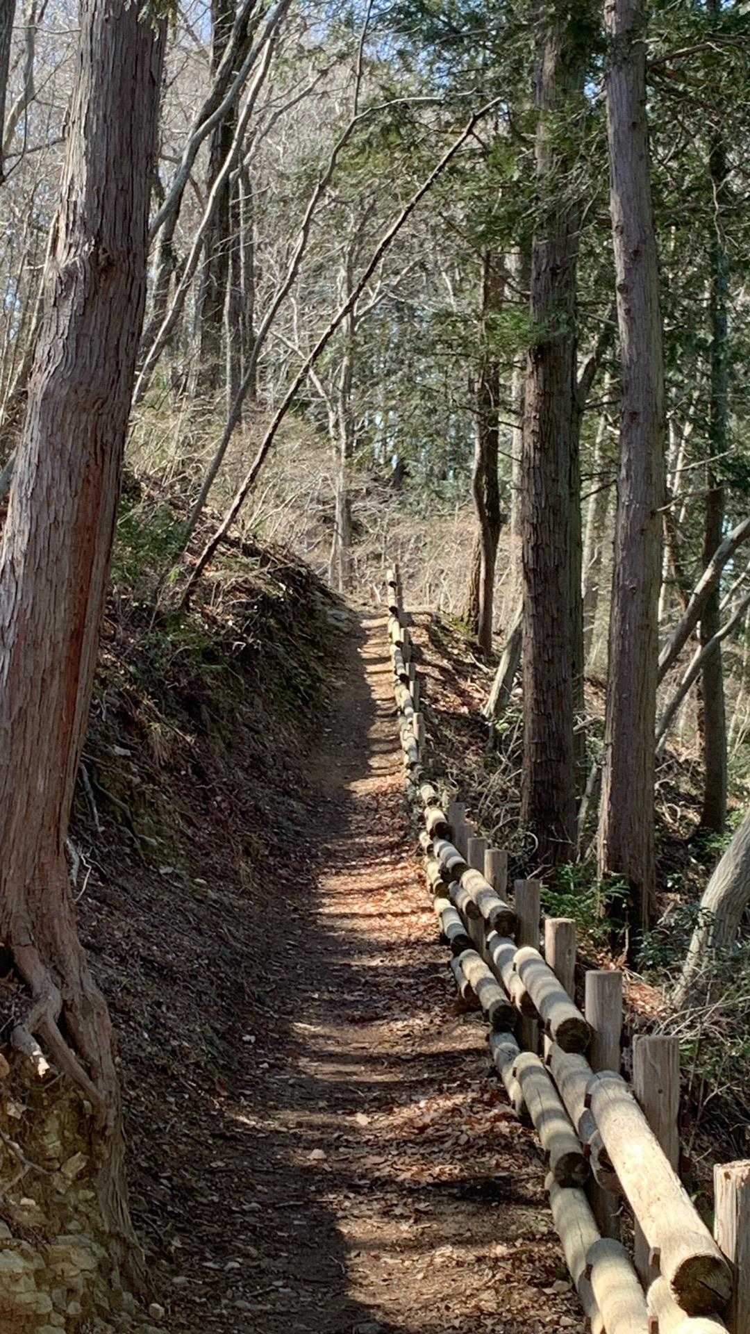 左に急登らしき坂があったので〜🤪
こちらを選択💁‍♀️笑
次も巻きました🤪