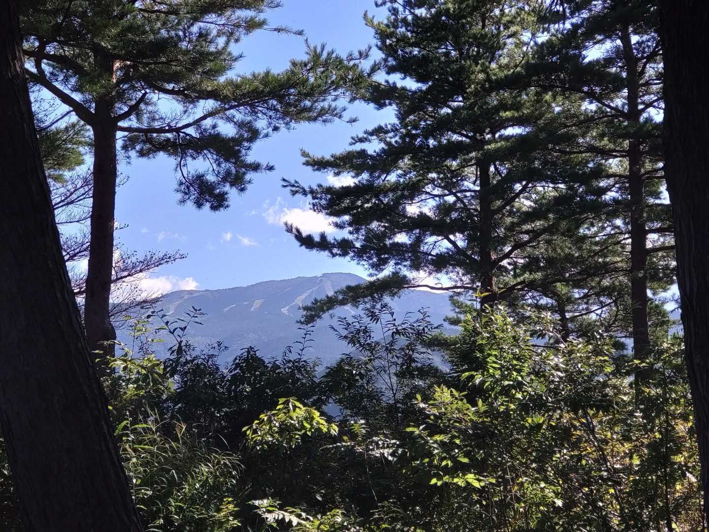 法恩寺山