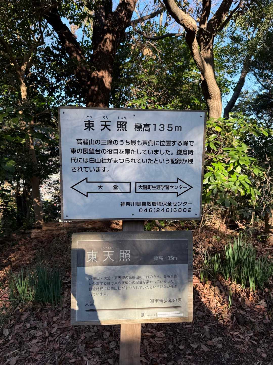 100mほど登って最初のお山