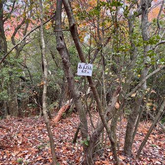 続いて「おんか山」
おんかって？