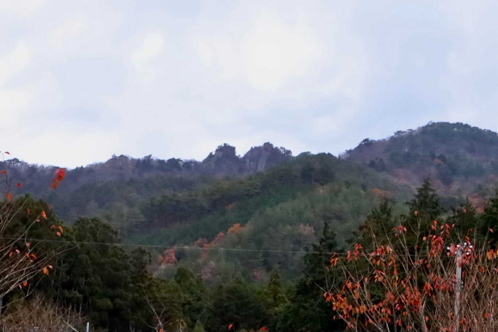 上は雨が降っている様です