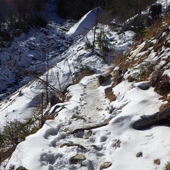 夏沢峠への登り