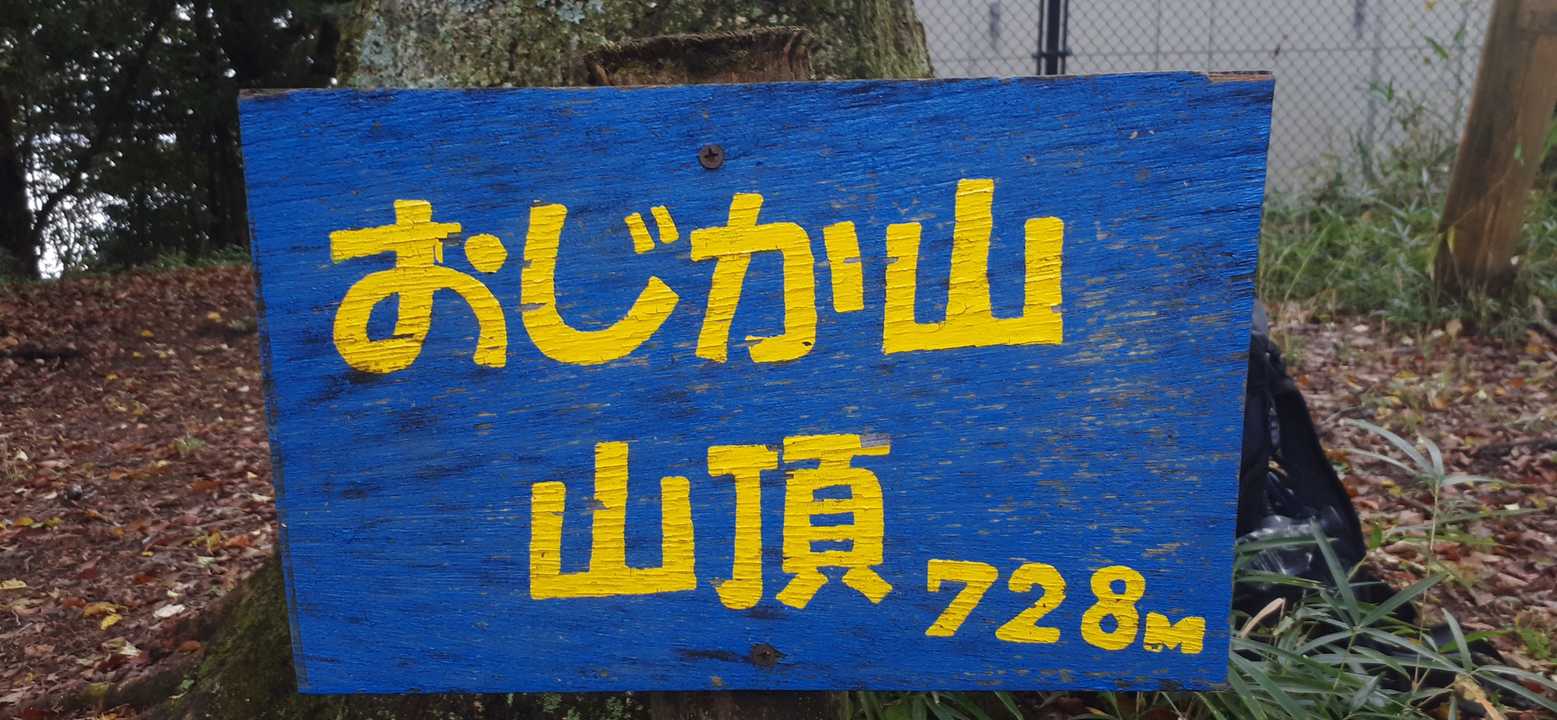 枯れ葉が舞い降る小鹿山頂。