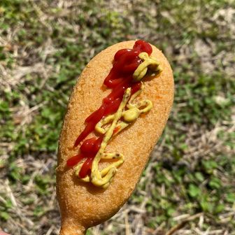 山頂も 良い雰囲気だったのでランチ
からの お試しオヤツ
友が羨ましがってました