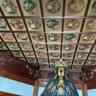 参拝。天井絵もじっくり見ることが出来ました。