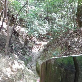 No.59-1
←瓜生山　　　↑白幽子巌居蹟