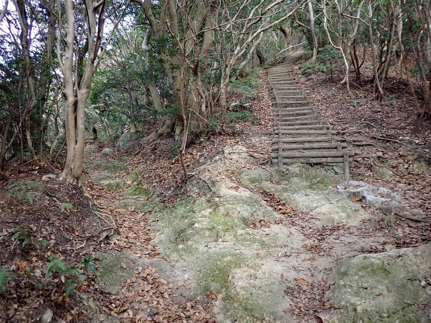 苦手な階段を避けて左手へ