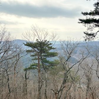 見ている景色はこれ
大滝根山、登ってみたいな