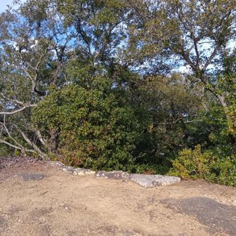 妹背山山頂。山名板は見当たらず😭